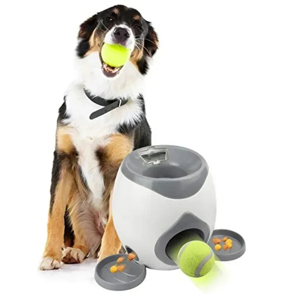 Automatic Dog Toy Ball Launcher for Active Play – Compact Indoor and Outdoor Use 2