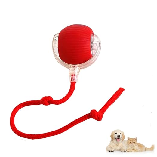 Automatic Dog Walker for All Breeds – Indoor Exercise Solution with Fast USB-C Charging 0