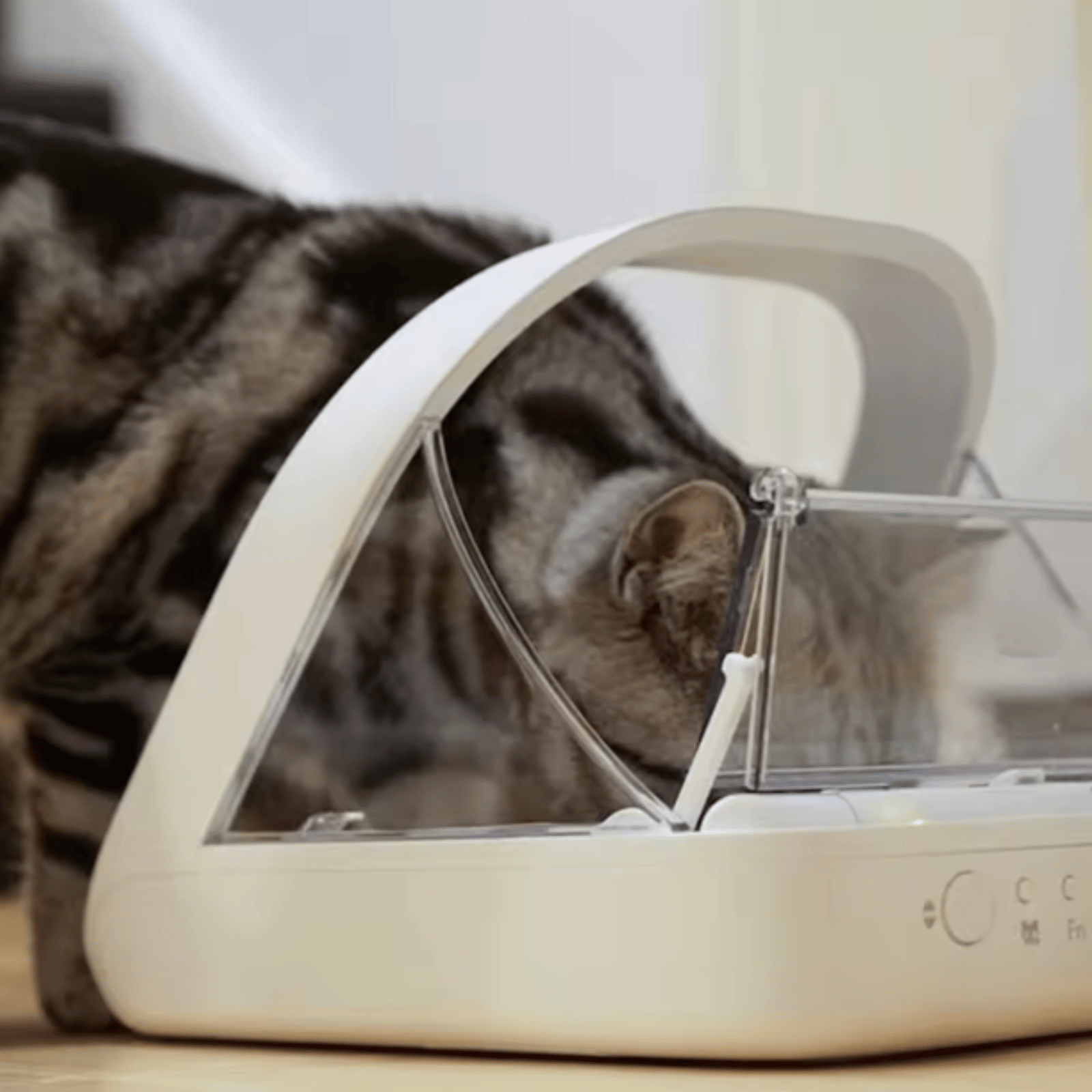 Automatic Microchip Pet Feeder for Wet & Dry Food – Selective Feeding Technology for Cats and Dogs 3