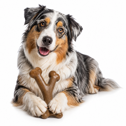 Bacon flavored Wishbone dog chew toy designed for aggressive chewers, durable and engaging for hours of play. 1