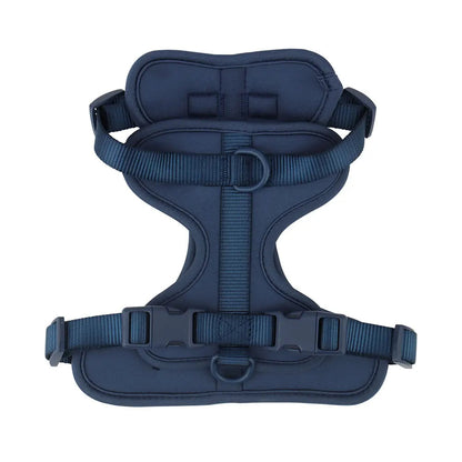 Bailey Lightweight Dog Harness – Breathable Adjustable Vest for Small to Medium Dogs 10