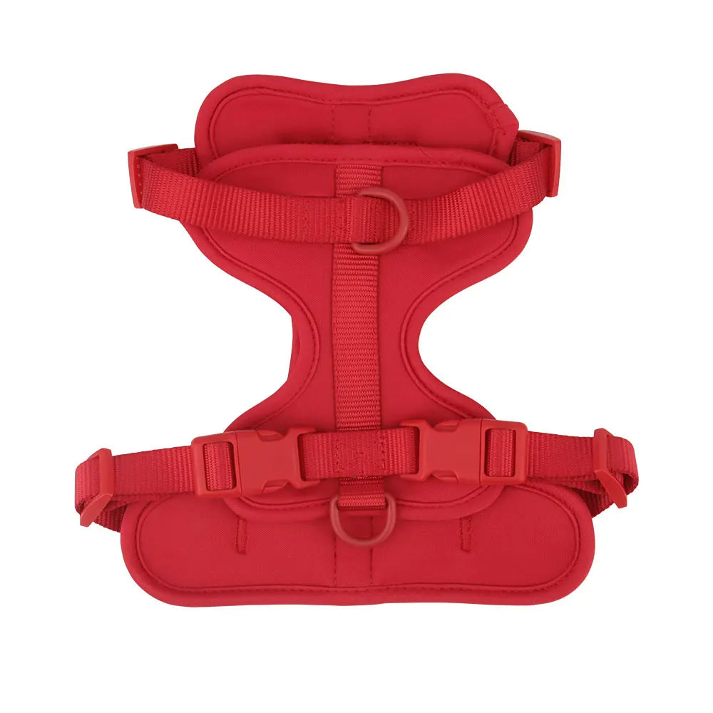 Bailey Lightweight Dog Harness – Breathable Adjustable Vest for Small to Medium Dogs 17