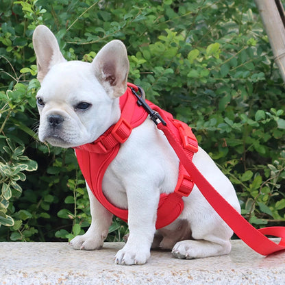 Bailey Lightweight Dog Harness – Breathable Adjustable Vest for Small to Medium Dogs 2