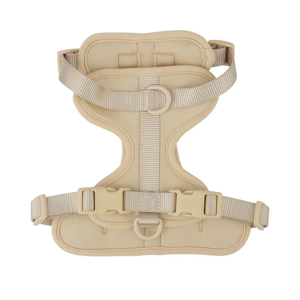 Bailey Lightweight Dog Harness – Breathable Adjustable Vest for Small to Medium Dogs 9