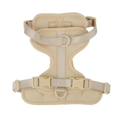 Bailey Lightweight Dog Harness – Breathable Adjustable Vest for Small to Medium Dogs 9