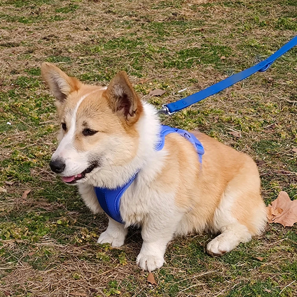 Bailey Lightweight Dog Harness – Breathable Adjustable Vest for Small to Medium Dogs – Best Dog Harness for Comfort and Control 5