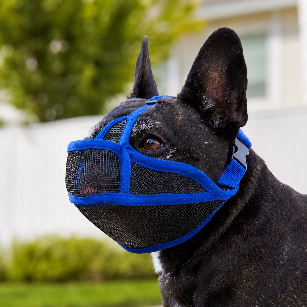 Basket muzzle for dogs featuring a breathable mesh design and drink-friendly open structure, perfect for short-snout breeds like Bulldogs and Pugs. 0