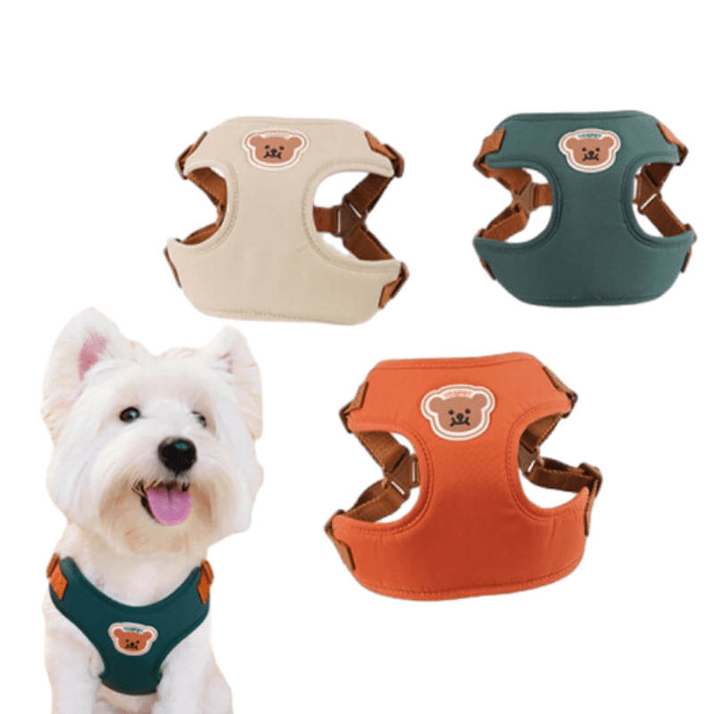 BearHugFit | Cute Adjustable Harness & Leash 1