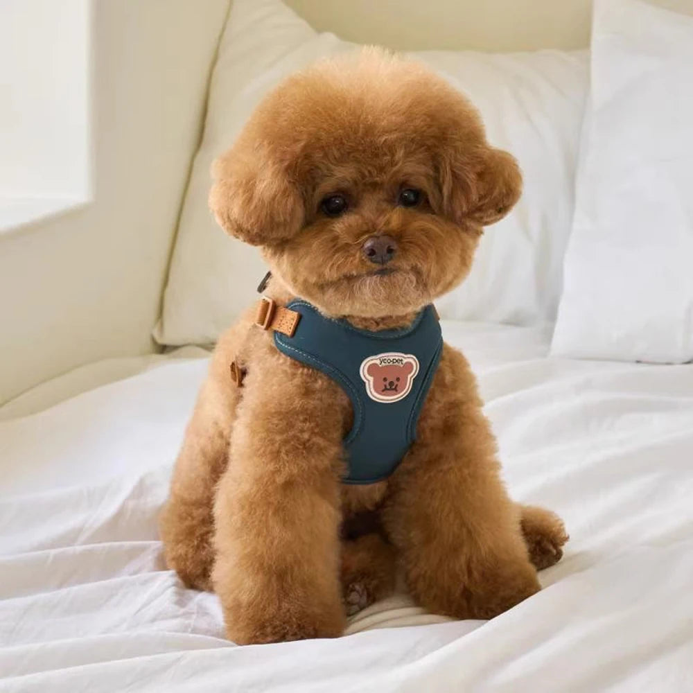 BearHugFit | Cute Adjustable Harness & Leash 3