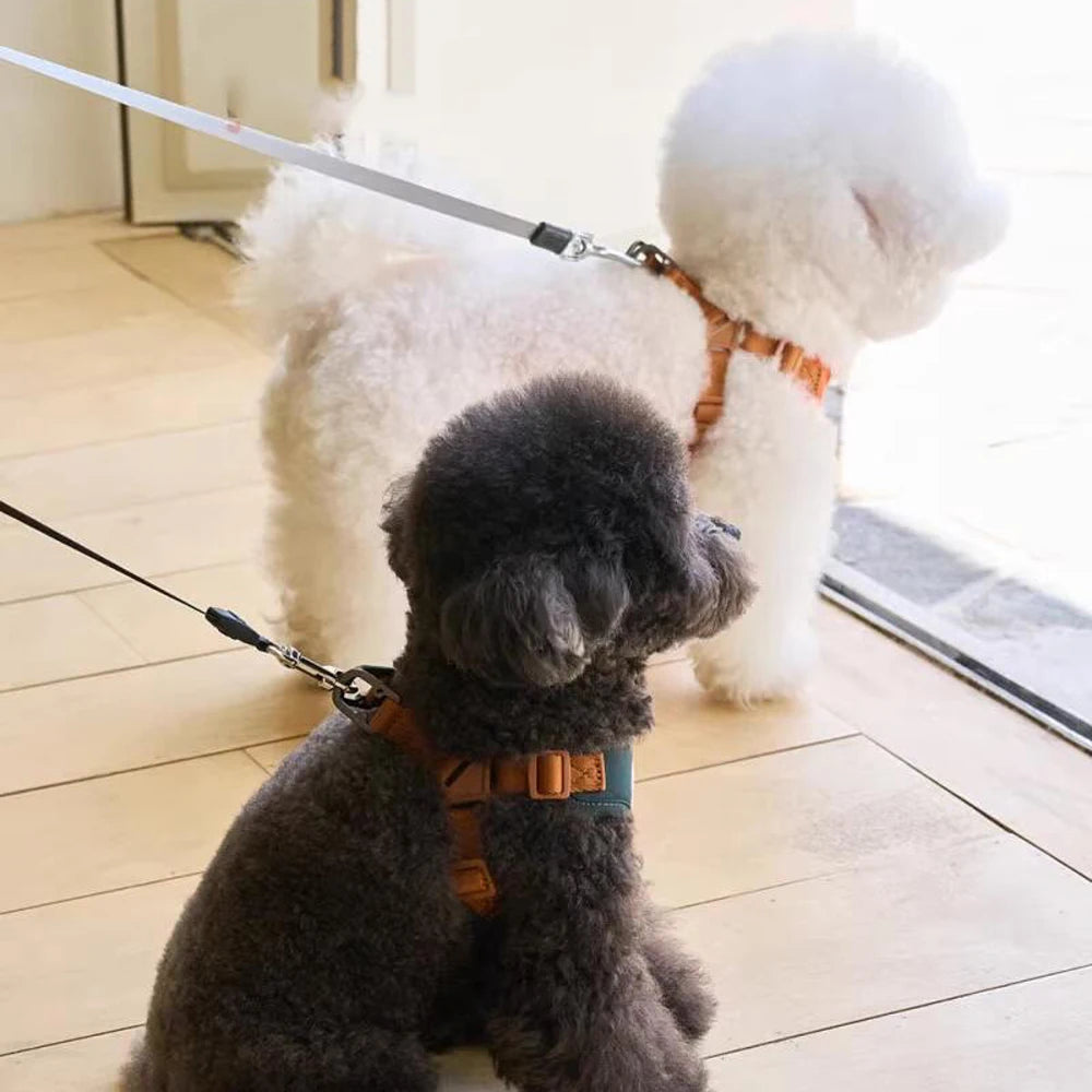 BearHugFit | Cute Adjustable Harness & Leash 4