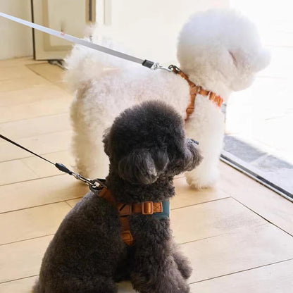 BearHugFit | Cute Adjustable Harness & Leash 4