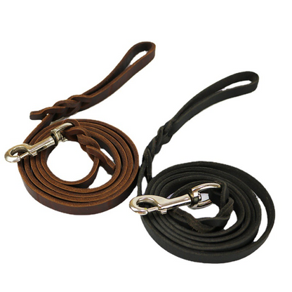 Braided Leather Dog Leash - Durable, Stylish, 120CM to 260CM Options - Best Dog Lead for Training and Everyday Use 4