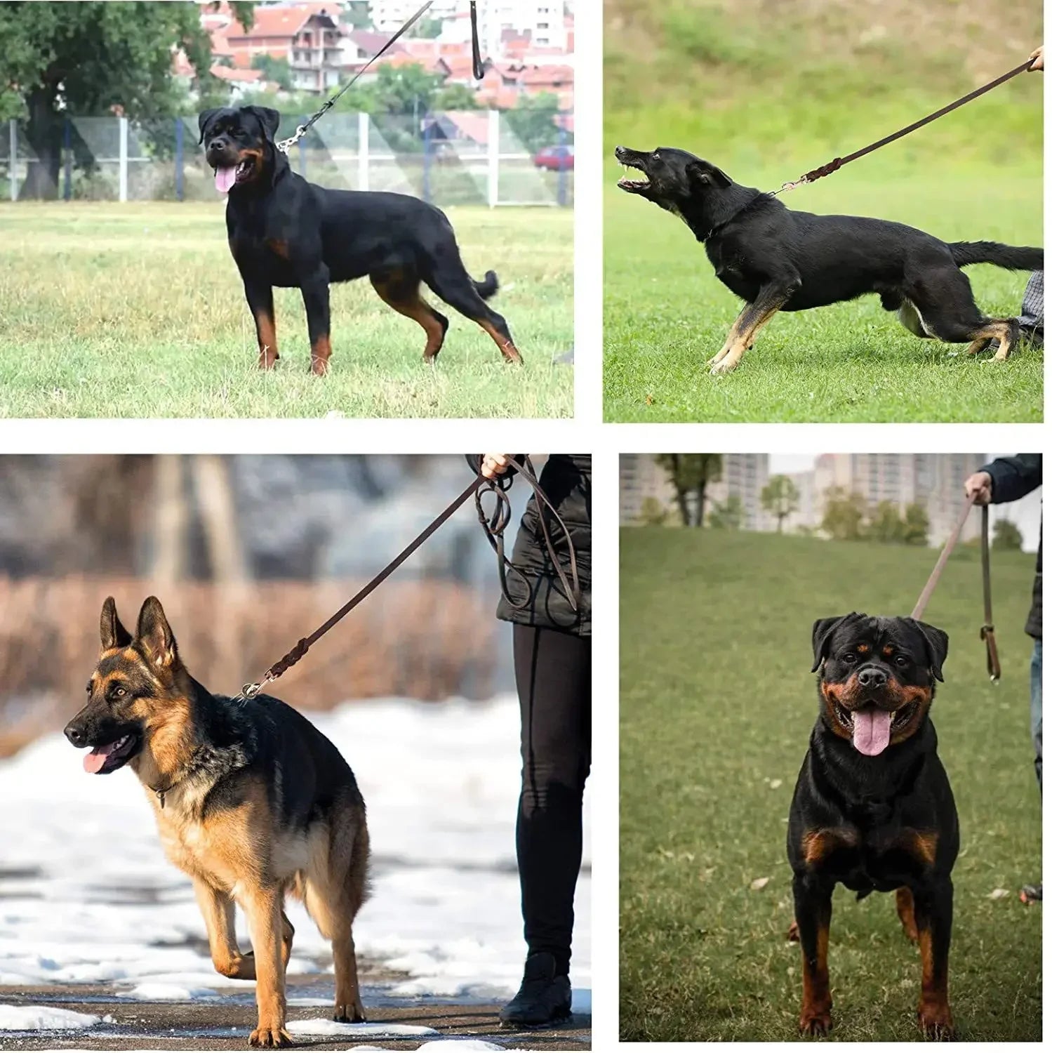 Braided Leather Dog Leash - Durable, Stylish, 120CM to 260CM Options - Best Dog Lead for Training and Everyday Use 7