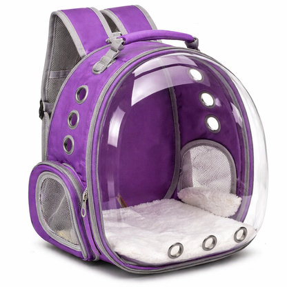 Breathable cat carrier backpack featuring ventilation mesh, designed for ergonomic comfort during hiking and outdoor adventures with pets. 2