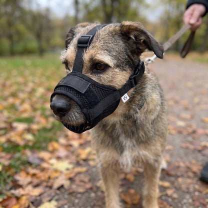 Breathable mesh dog muzzle designed for small dogs, featuring adjustable nylon straps for a comfortable and secure fit. 1