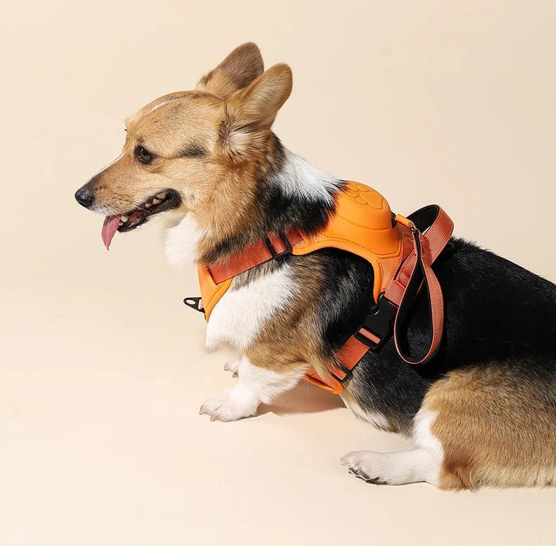 Breathable No Pull Dog Harness with 130cm Belt for Medium to Large Dogs – Comfortable Control and Ventilation 2
