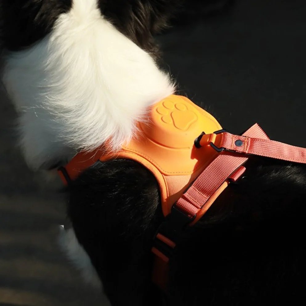 Breathable No Pull Dog Harness with 130cm Belt for Medium to Large Dogs – Comfortable Control and Ventilation 4