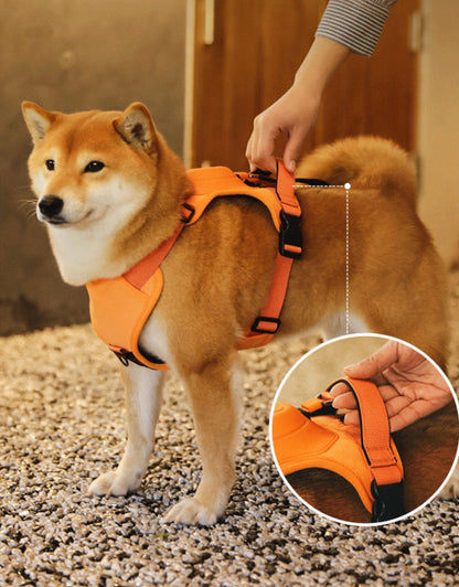 Breathable No Pull Dog Harness with 130cm Belt for Medium to Large Dogs – Comfortable Control and Ventilation 6