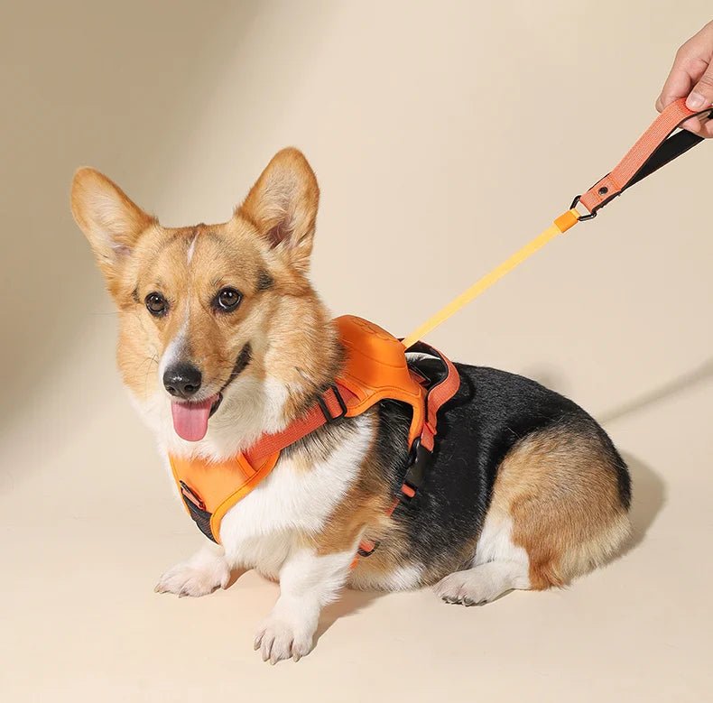 Breathable No Pull Dog Harness with 130cm Belt for Medium to Large Dogs – Comfortable Control and Ventilation 7