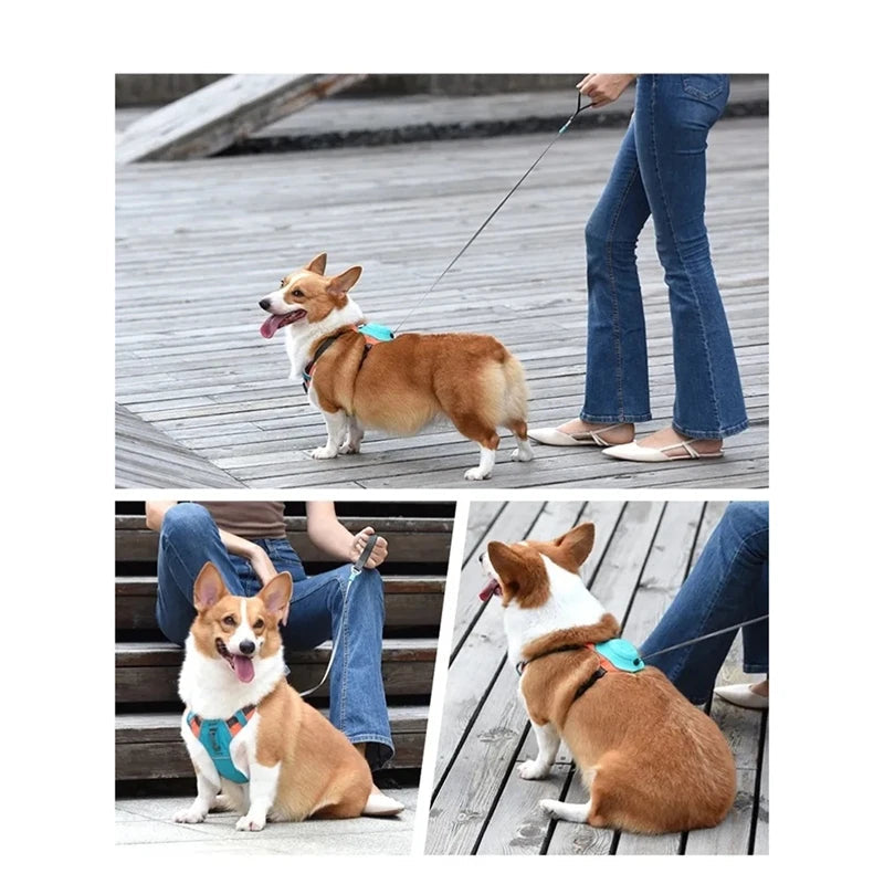 Breathable No Pull Dog Harness with Retractable Leash - Adjustable Fit for Comfort and Control 3