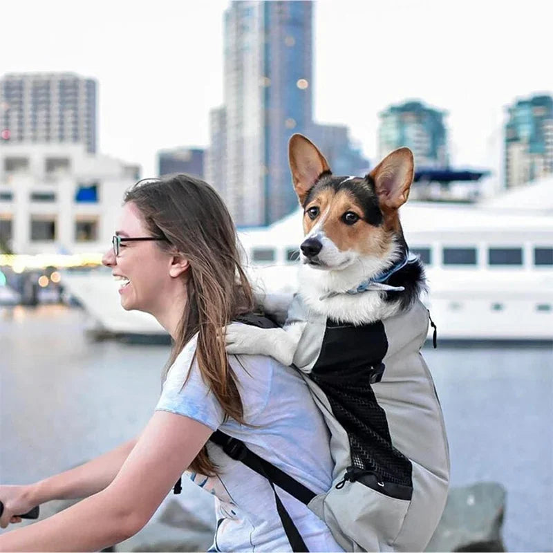 Breathable Nylon Pet Carrier Backpack for Dogs and Cats – Ideal for Travel, Hiking, and Cycling, Supports Pets Up to 30 kg 1