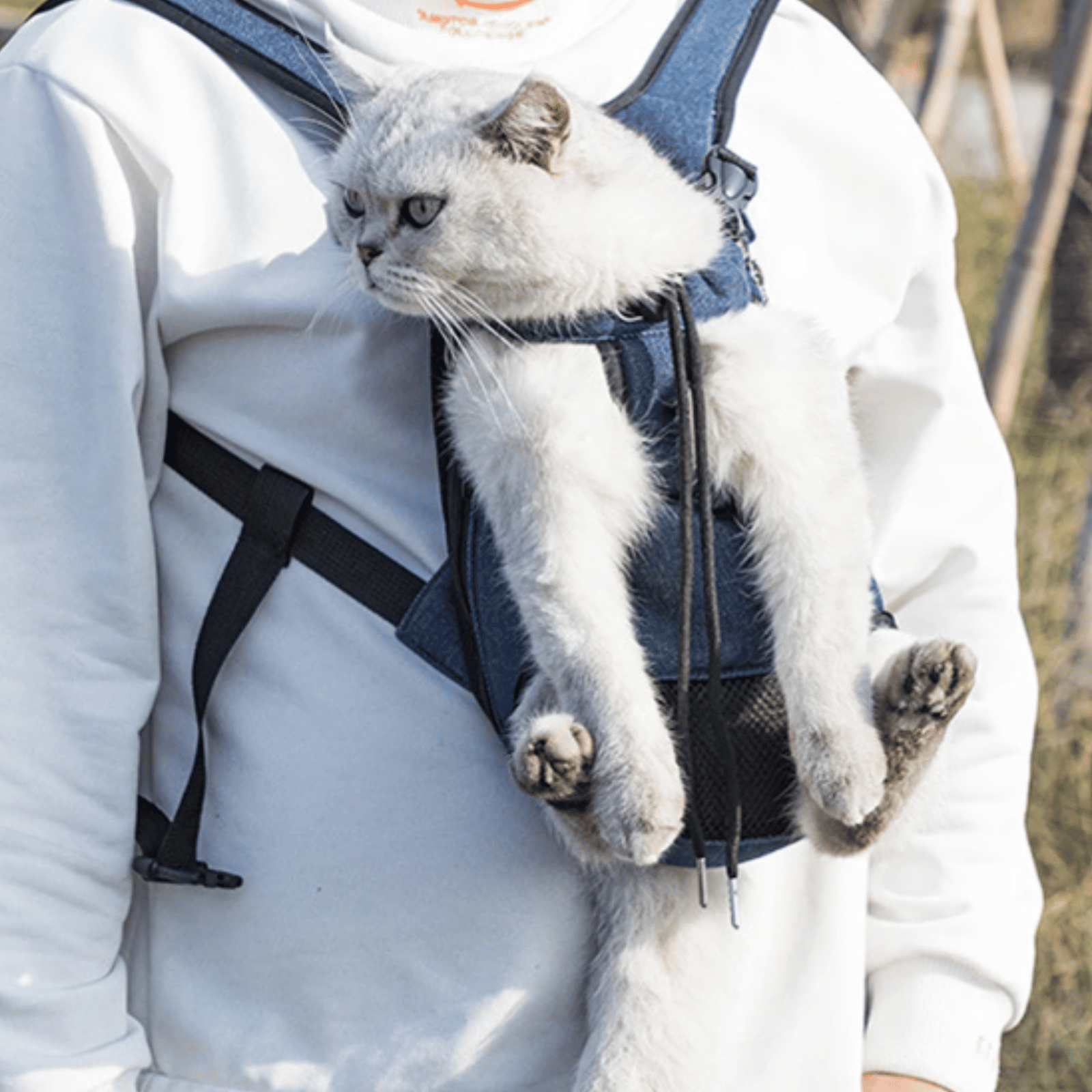 Breathable Pet Carrier Backpack for Dogs and Cats – Ergonomic Design with Safety Features and Ventilated Mesh 6