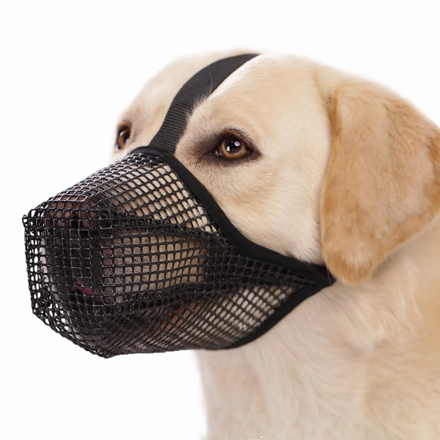 Breathable Soft Mesh Dog Muzzle – Lightweight Adjustable Basket Muzzle for Small Dogs, Comfortable and Durable Design 0