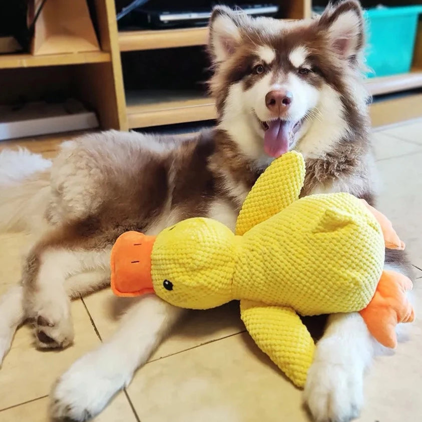 Calming Duck Dog Toy – Interactive Plush Toy with Quacking Sound for All Dog Sizes 3