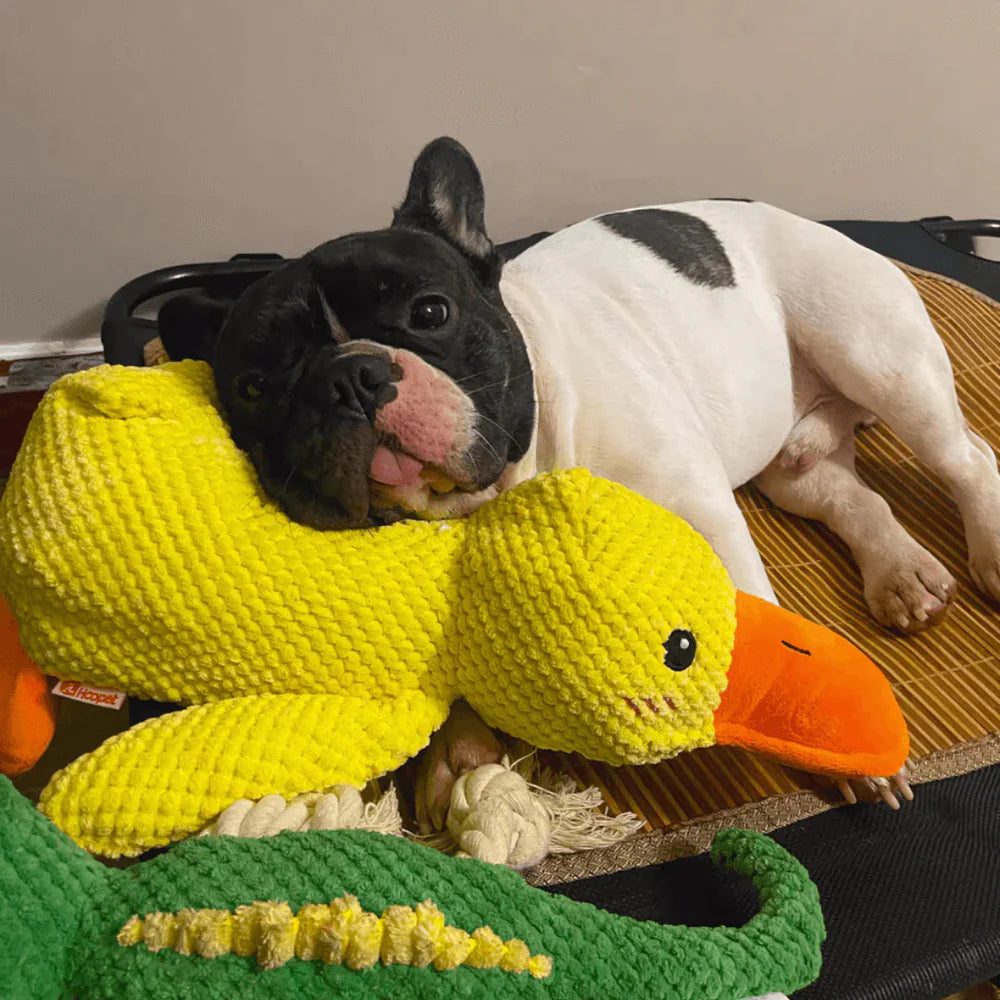 Calming Duck Dog Toy – Interactive Plush Toy with Quacking Sound for All Dog Sizes 6