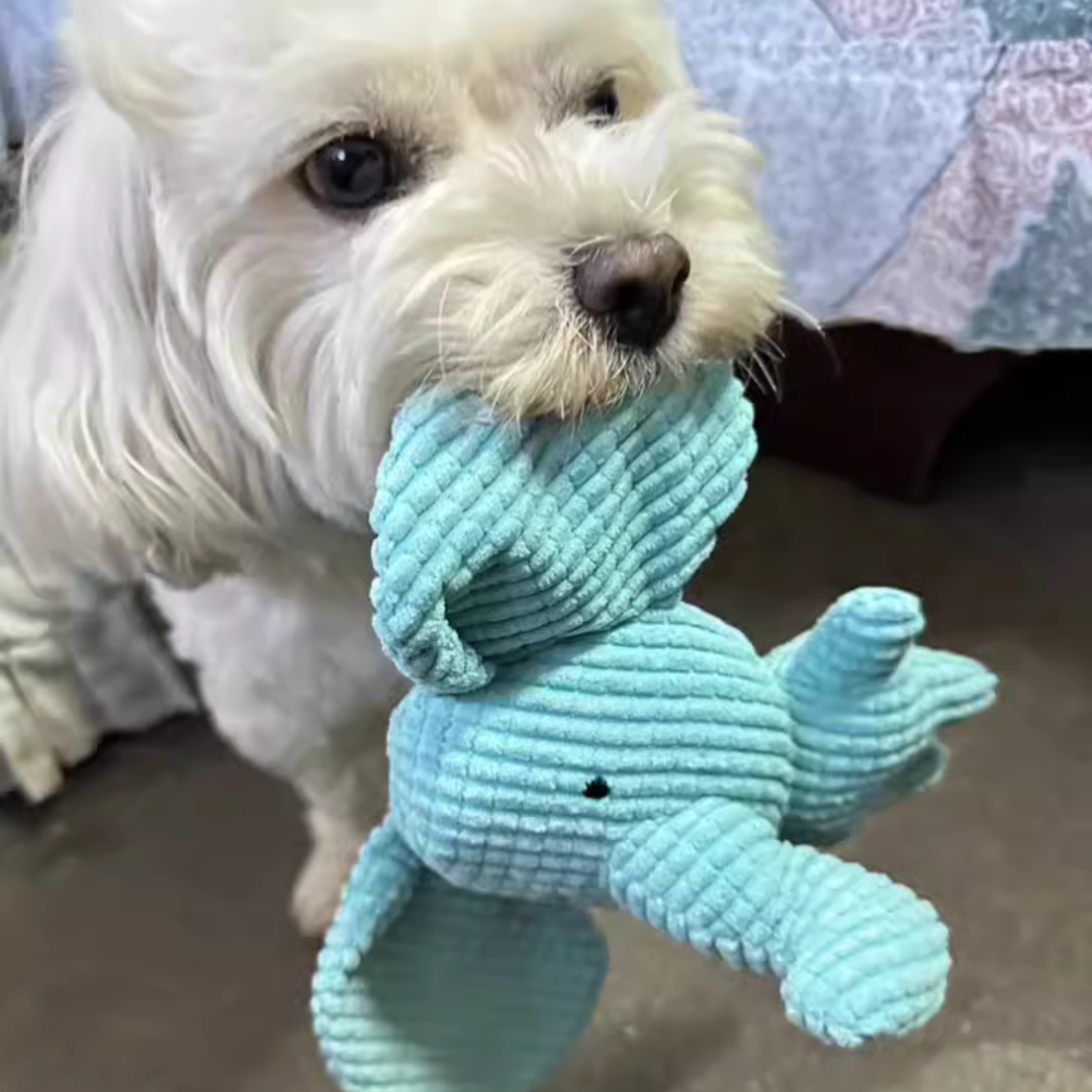 Calming Elephant Plush Toy for Dogs with Interactive Sounds – Chewable, Machine Washable, Soft Fabric 3