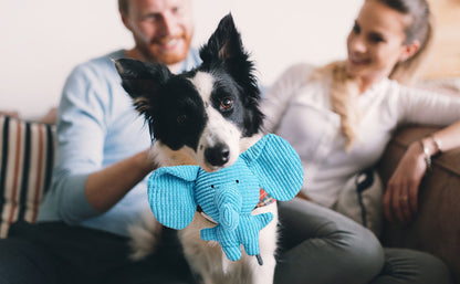 Calming Elephant Plush Toy for Dogs with Interactive Sounds – Chewable, Machine Washable, Soft Fabric 4