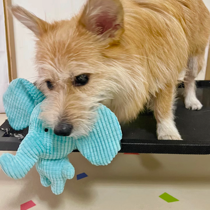 Calming Elephant Plush Toy for Dogs with Interactive Sounds – Chewable, Machine Washable, Soft Fabric 5
