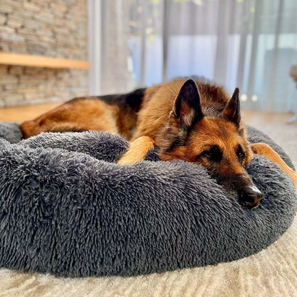 Calming Orthopedic Dog Bed with Memory Foam, Elevated Design, Chew-Proof and Waterproof Fabric – Durable Pet Bed for Large Dogs 0