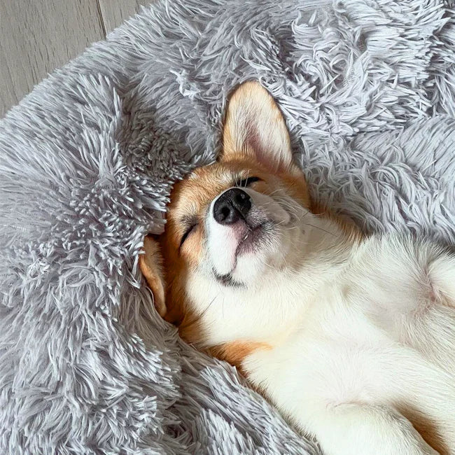 Calming Orthopedic Dog Bed with Memory Foam, Elevated Design, Chew-Proof and Waterproof Fabric – Durable Pet Bed for Large Dogs 2