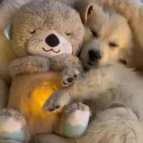 Calming Otter Plush Dog Buddy with Soothing Sounds and Portable Design 1