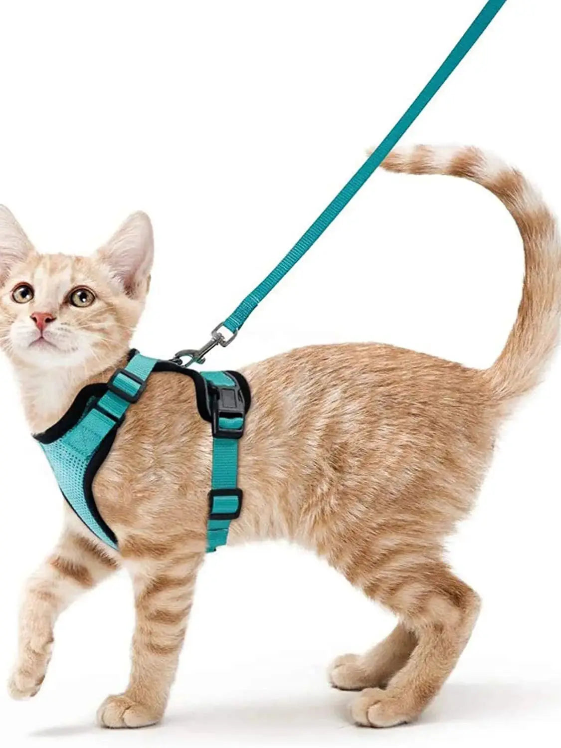 CatVoyage | Soft and Safe Walking Harness 0