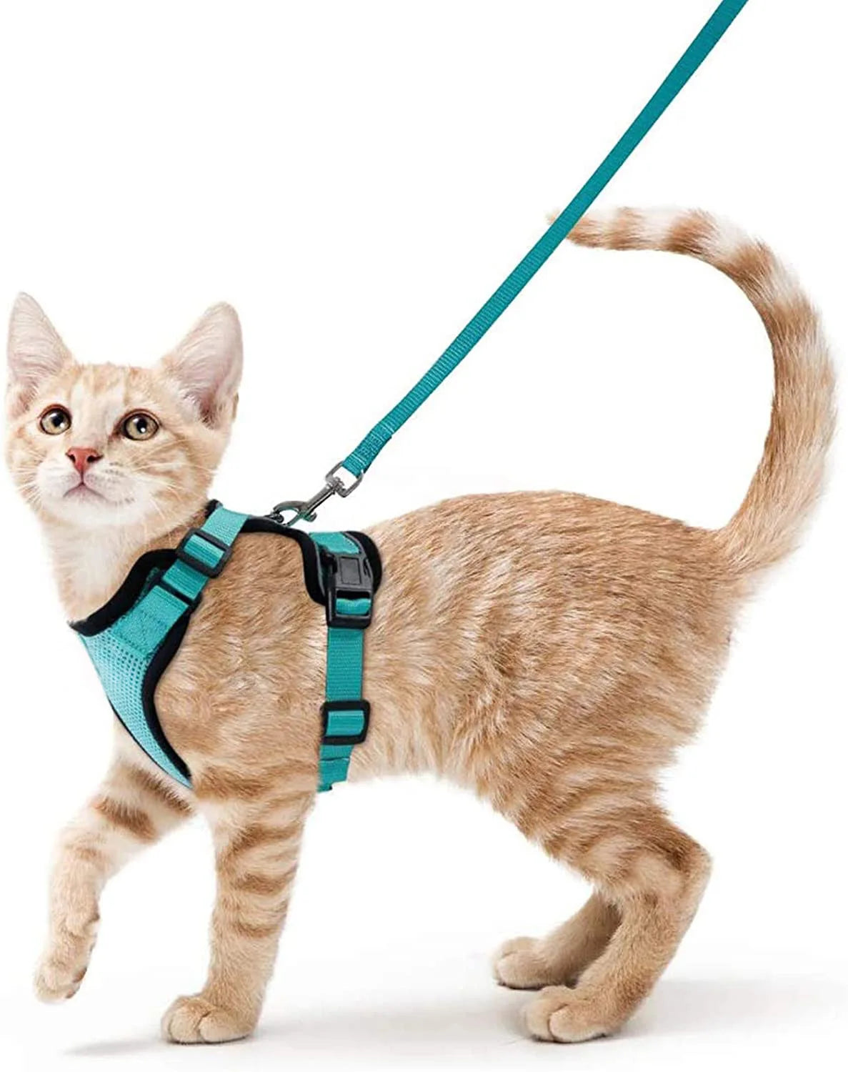CatVoyage | Soft and Safe Walking Harness 1
