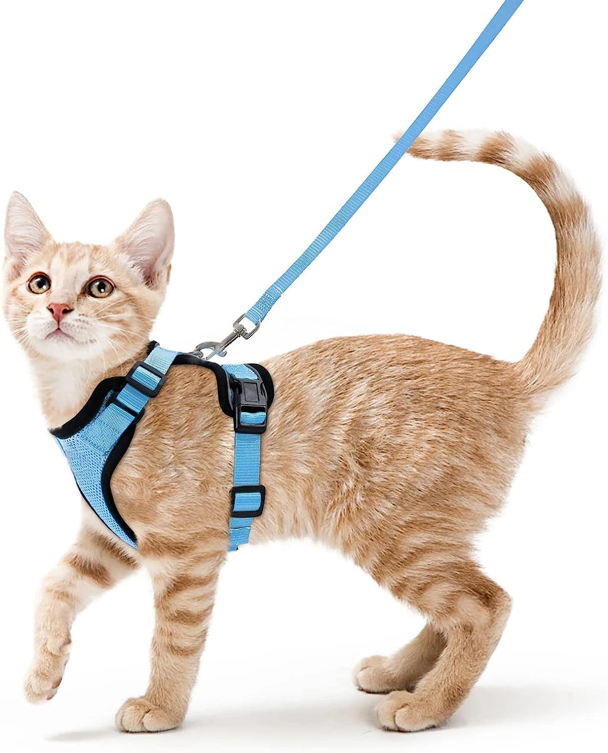 CatVoyage | Soft and Safe Walking Harness 10