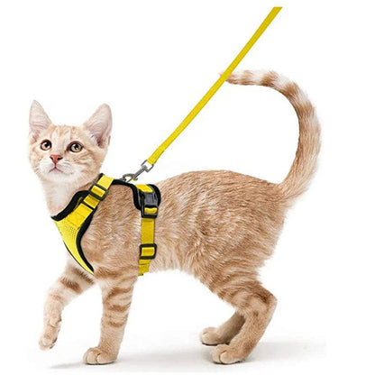 CatVoyage | Soft and Safe Walking Harness 2