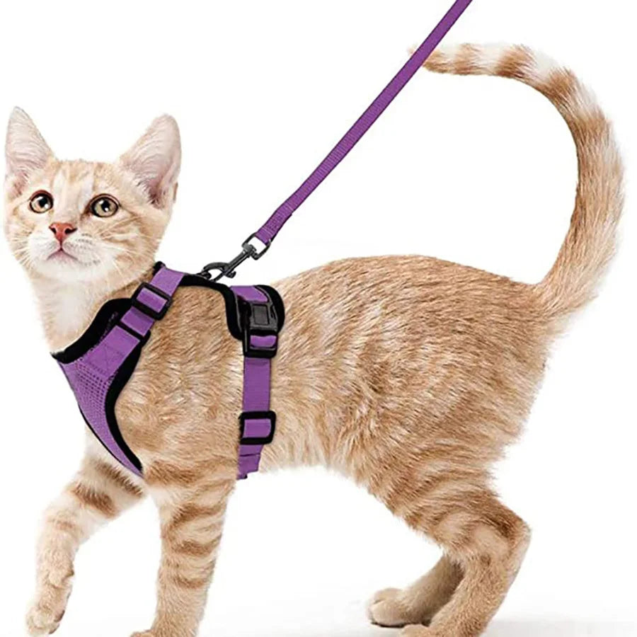 CatVoyage | Soft and Safe Walking Harness 3