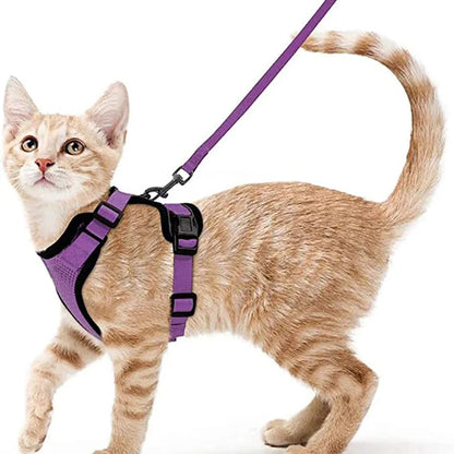CatVoyage | Soft and Safe Walking Harness 3