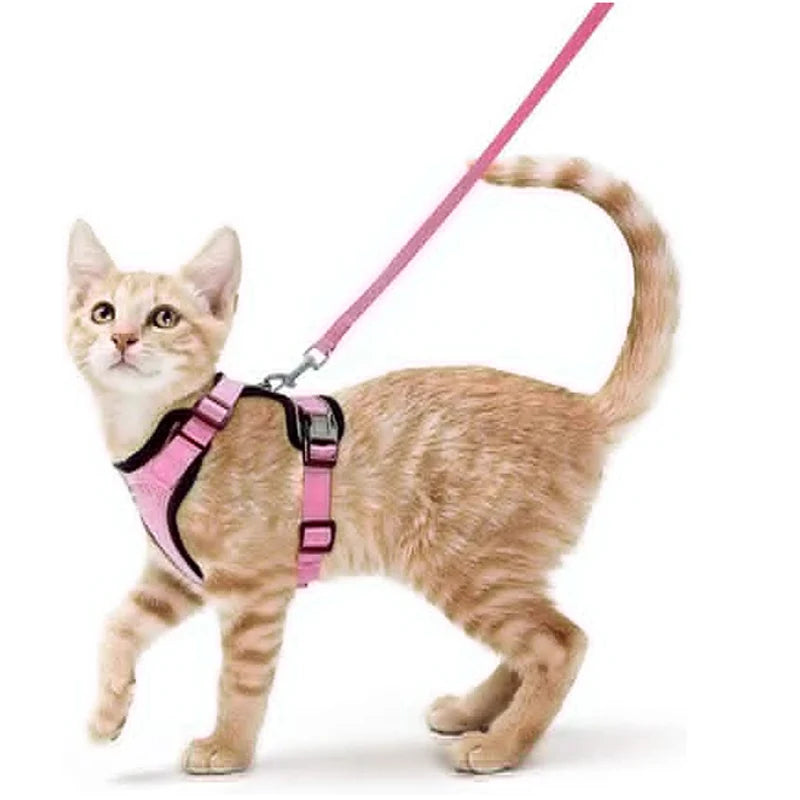 CatVoyage | Soft and Safe Walking Harness 4