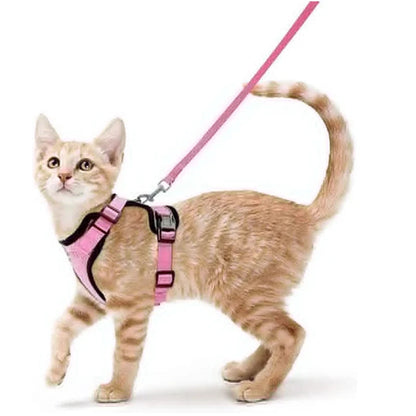 CatVoyage | Soft and Safe Walking Harness 4