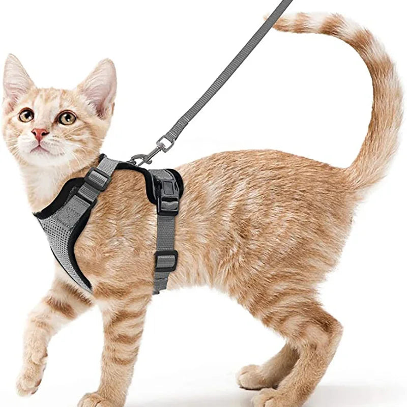CatVoyage | Soft and Safe Walking Harness 5