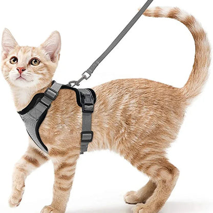 CatVoyage | Soft and Safe Walking Harness 5