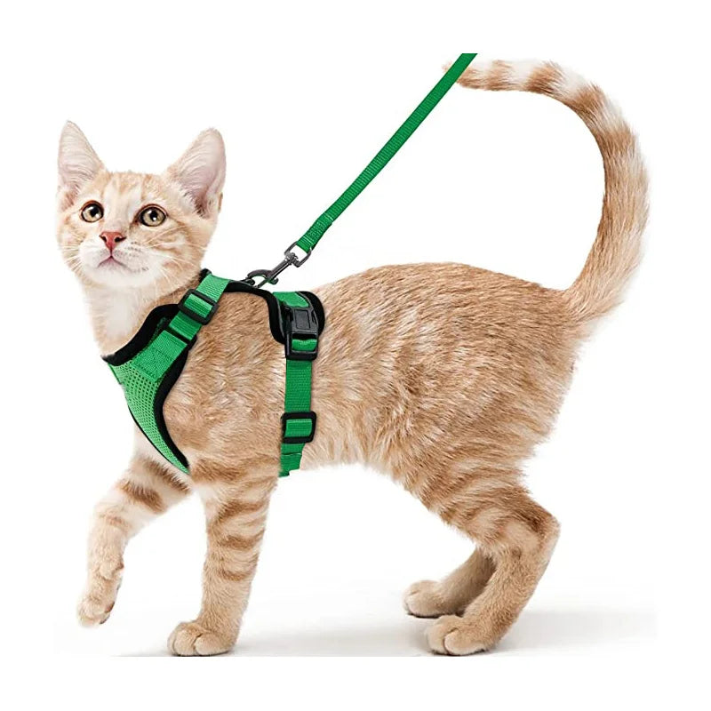CatVoyage | Soft and Safe Walking Harness 6