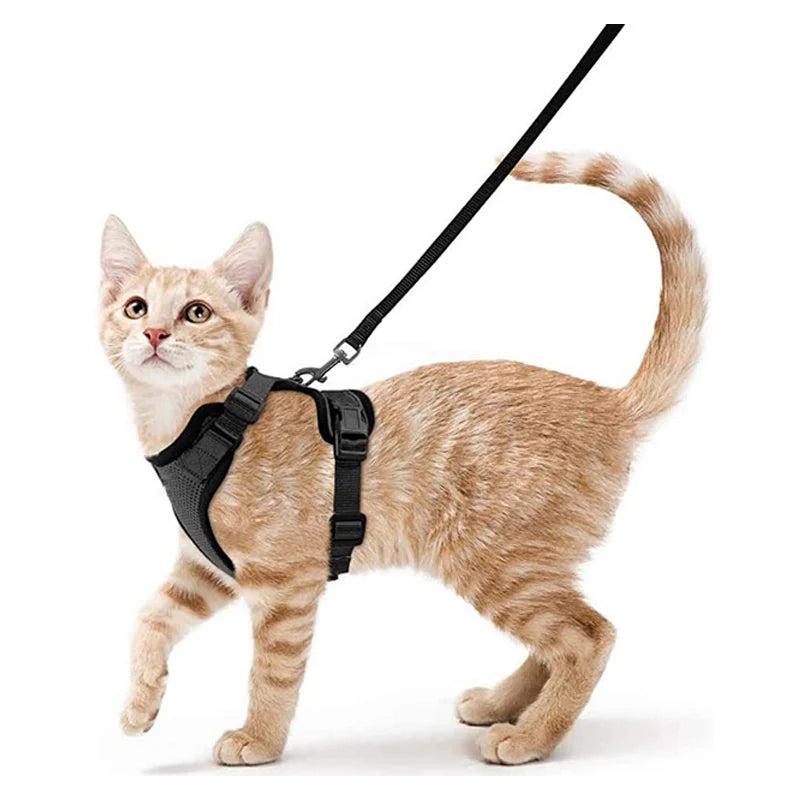 CatVoyage | Soft and Safe Walking Harness 7