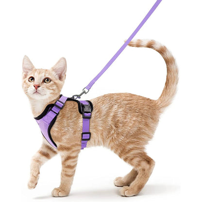 CatVoyage | Soft and Safe Walking Harness 8