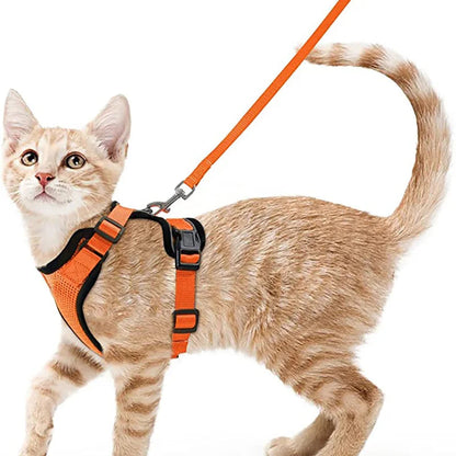 CatVoyage | Soft and Safe Walking Harness 9