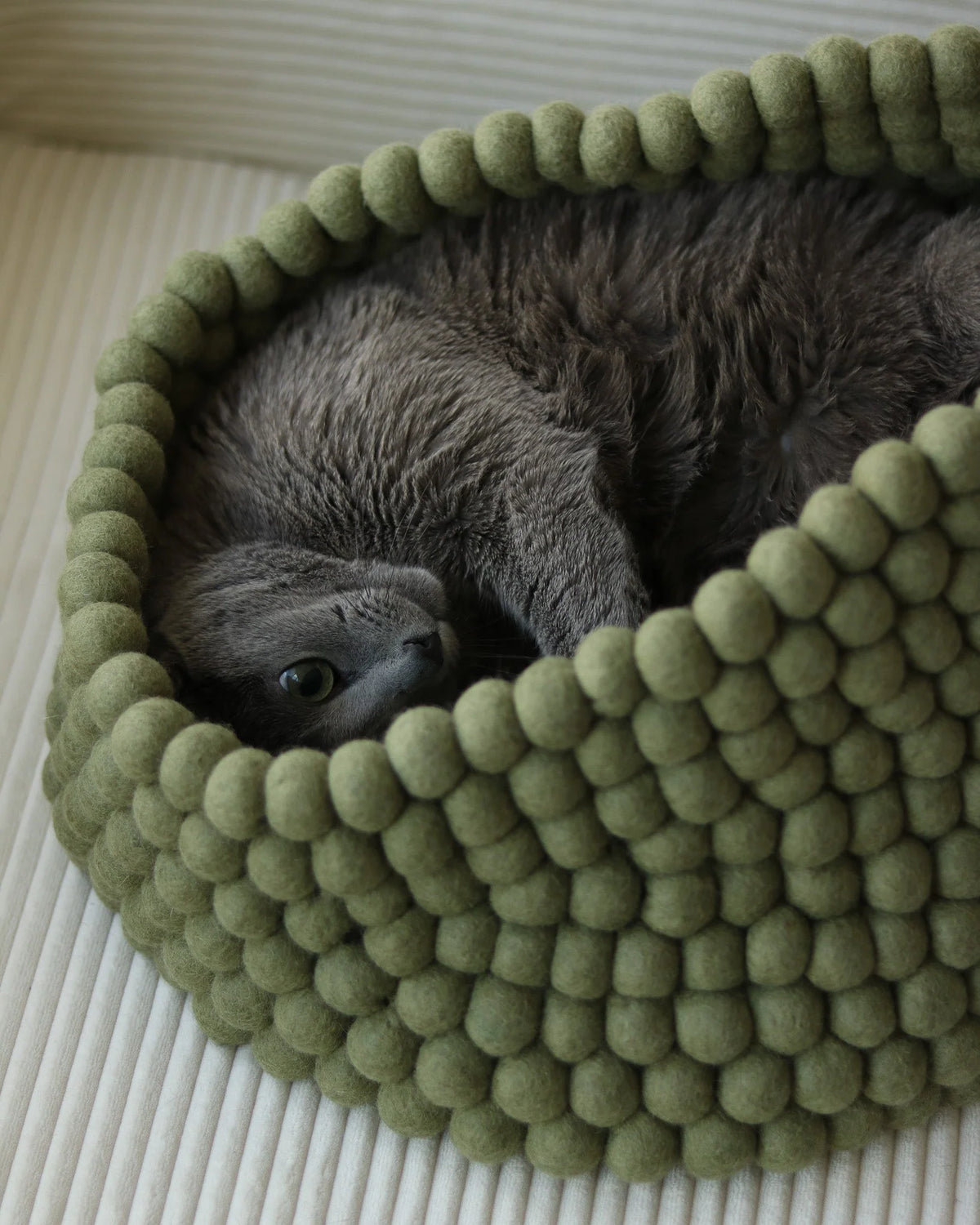 Cozy basket-style cat bed made from handmade New Zealand wool featuring a peek-out design for playful cats. 2